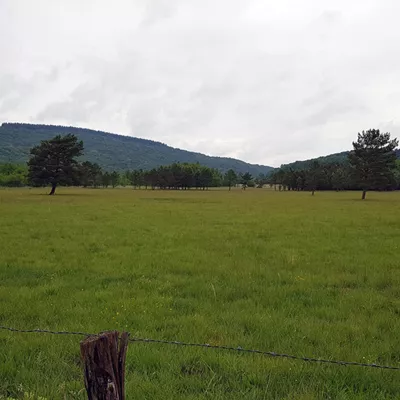Plaine du Daillon à Mesnois - Jura<br>Ambiances paysagères dans la Combe d'Ain