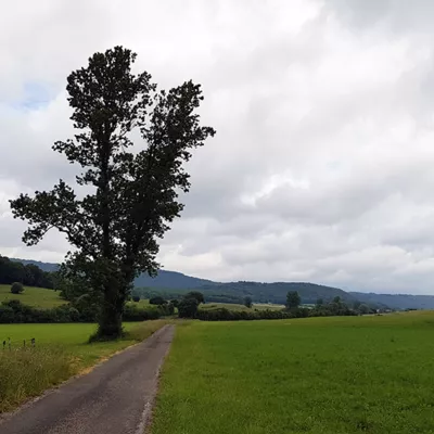 Plaine du Daillon à Mesnois - Jura<br>Ambiances paysagères dans la Combe d'Ain